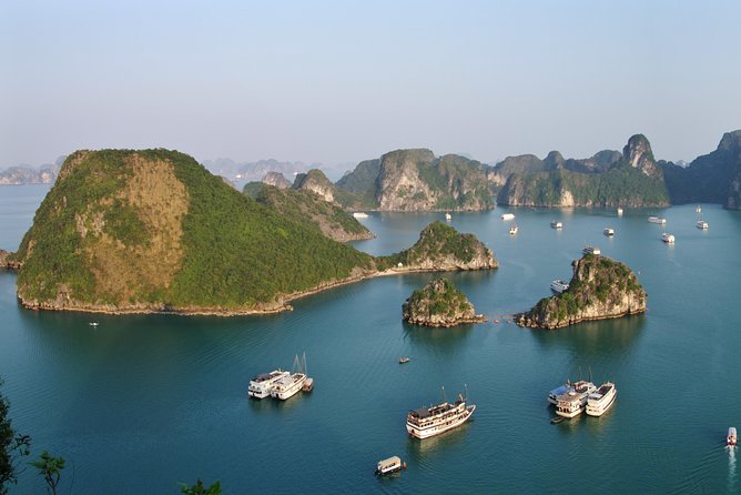 Luxury Day Trip to Halong Bay With Sung Sot Cave, Titop Island and Kayaking. - Culinary Experience