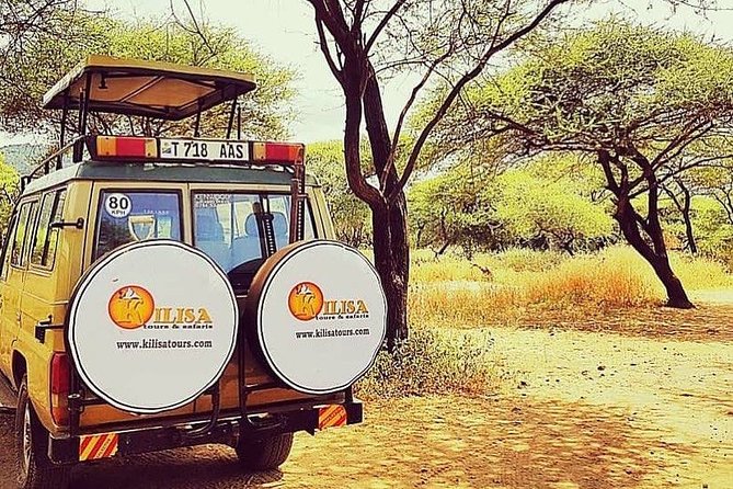 Maasai Village and Chemka Hotspring at Rundugai Village - Exclusions From the Tour Package