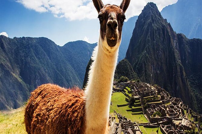 Machu Picchu Full Day Tour With Entrance to Machu Picchu - Inclusions