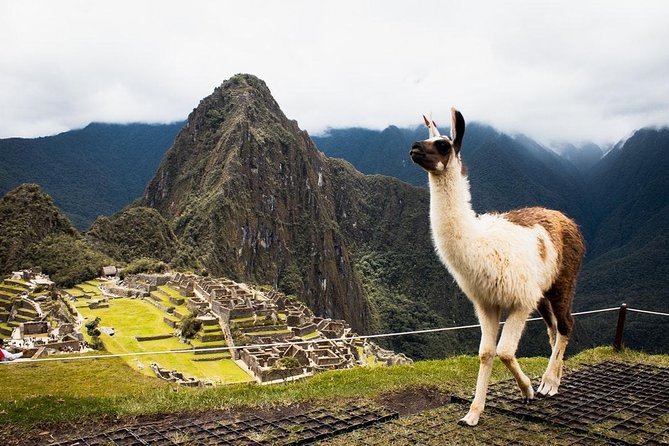 Machu Picchu Full-Day Tour With First Class Train Ride - Tour Highlights