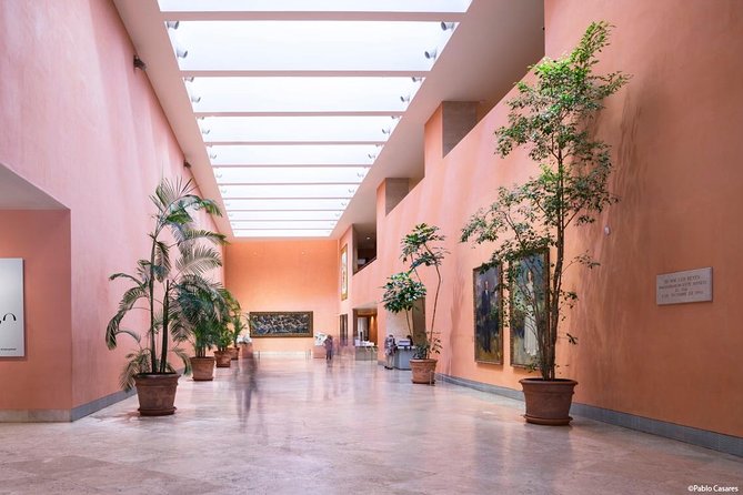 Madrid Private Walking Tour of Thyssen and Reina Sofia Museums - Inclusions of the Tour
