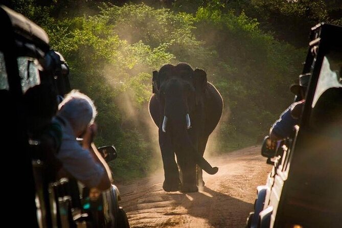 Maduru Oya Safari and Indigenous Village Day Trip From Ella