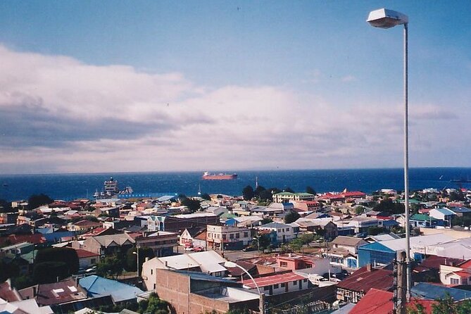 Magallanes Reserva and City Tour. Private Shore Excursion. - Itinerary Overview