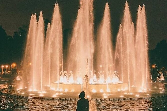Magic Water Circuit With Dinner Show, Dances and Paso Horses - Dining Experience