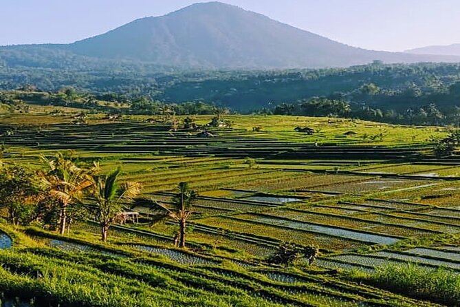 Magical Full Day Trip Jatiluwih Rice Terrace And Beratan Temple - Pickup Details