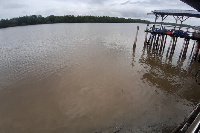 Magical Tour of Kuala Selangor Fireflies - Tour Overview