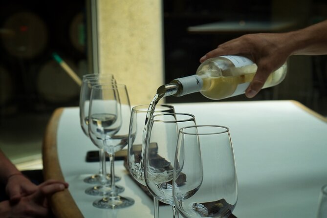 Maipo Wine Valley LGBT+ - Highlights of the Tour
