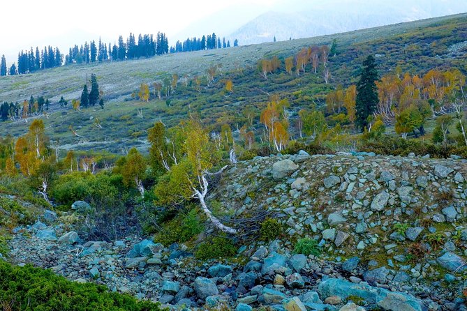 Majestic Sonamarg: a Day Trip to the Meadow of Gold From Srinagar - Trip Overview