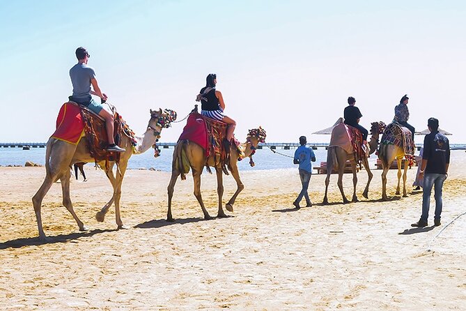 Makadi Bay Camel Ride Experience - Exclusions