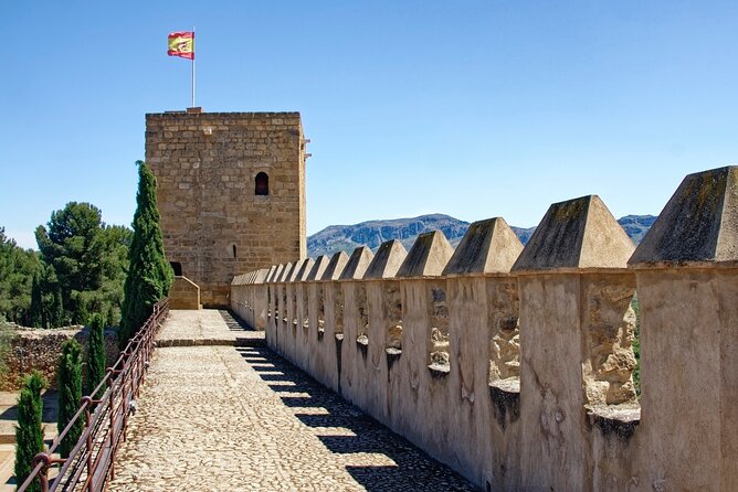 Malaga - Private Historic Walking Tour - Inclusions and Fees