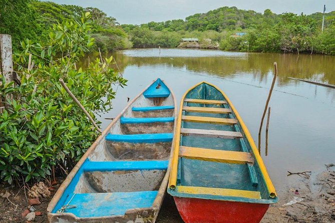 Mangroves and Fishing Show