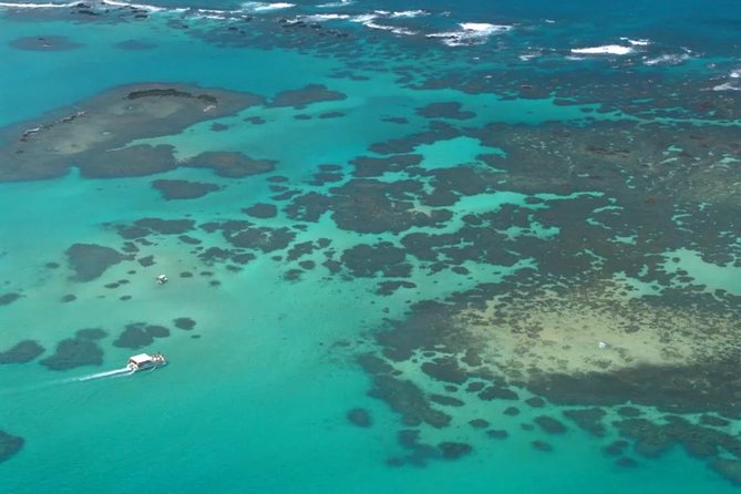 Maragogi Beach From Maceió - Full Day - Inclusions