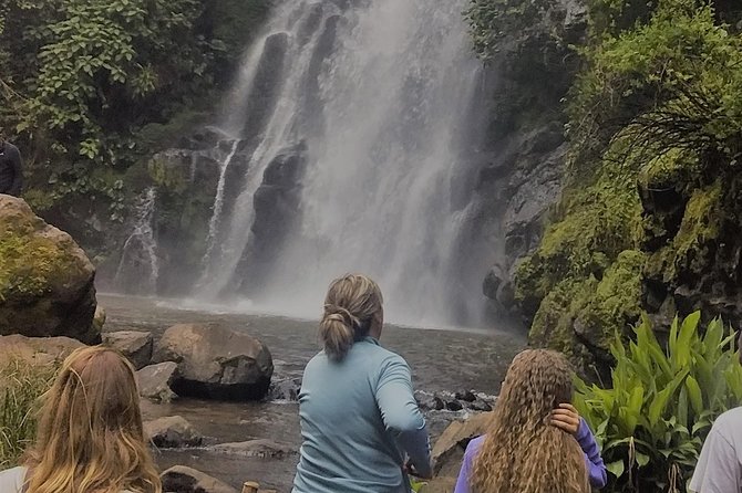Marangu Waterfalls, Coffee Farm & Cultural Tour