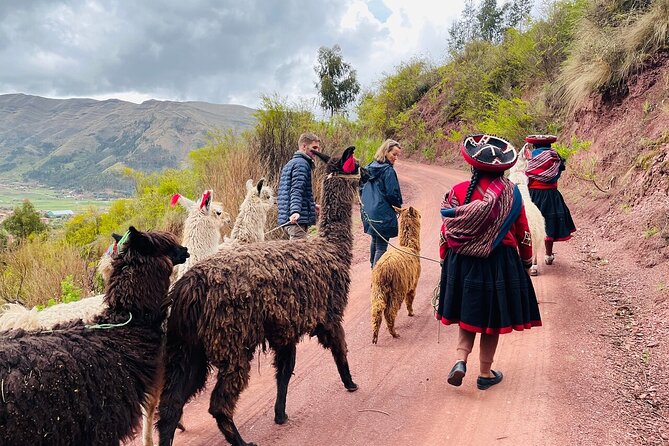 Maras, Moray and Salineras Tour - Inclusions and Amenities