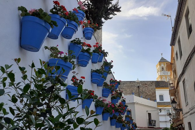 Marbella Private Walking Tour - Additional Information