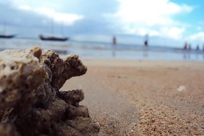 Marinho Da Coroa Alta Park Nautical Tour and Mud Bath From Porto Seguro - Meeting and Pickup Information