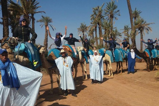 Marrakech: 1/2 Day Camel Ride in the Palm Grove - Includes: Air-Conditioned Vehicle