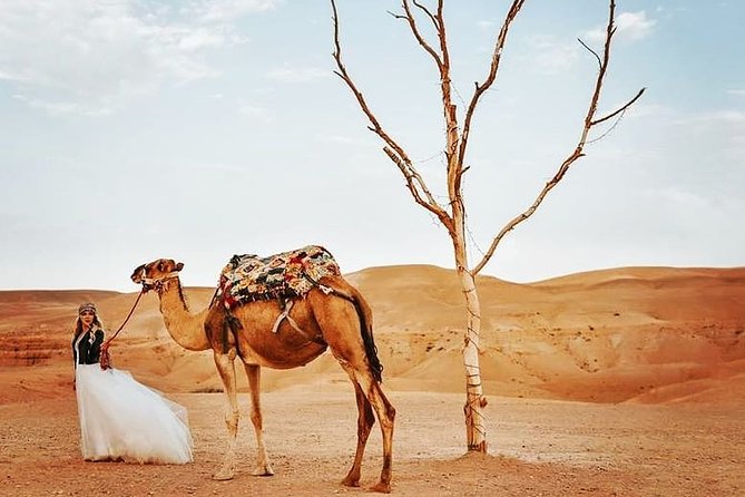 Marrakech: Desert Agafay & Berber Villages With Camel Ride - What to Expect