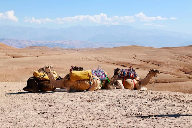 Marrakech Desert & Atlas Mountains and Berber Villages With Camel Ride - Meeting and Pickup Options
