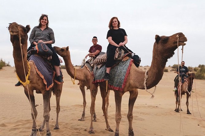 Marrakech Experience: PalmGrove Camel Ride Excursion - How to Book