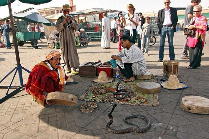 Marrakech Guided Tour Half-Day Explore the Hidden Gems - Inclusions