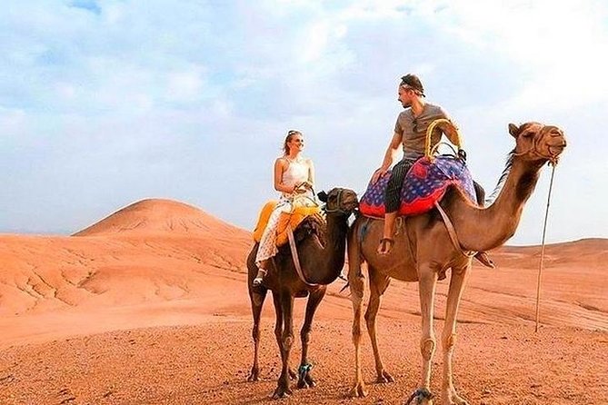 Marrakech: Half-Day Desert Quad & Dromedary Tour - Experience Highlights