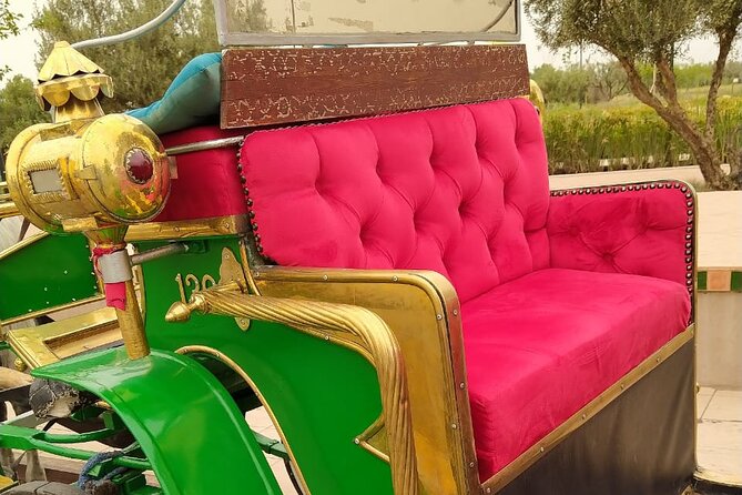 Marrakech Night or Day Tour in a Horse Drawn Carriage - Tour Overview