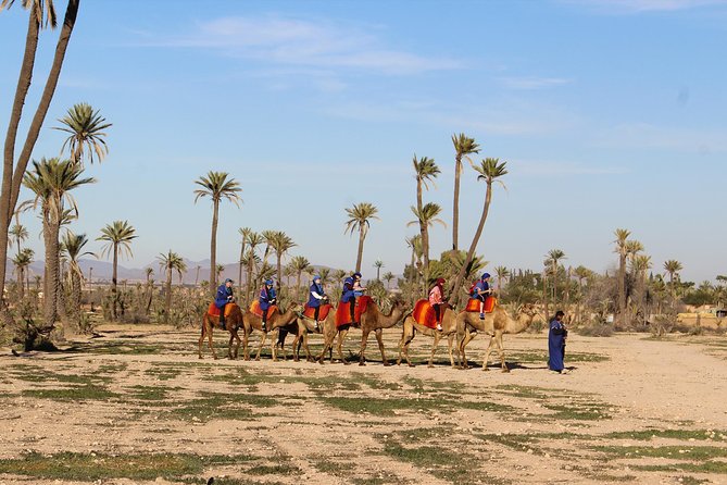 Marrakech Palmeraie 1-Hour Camel Ride - Whats Included in the Tour