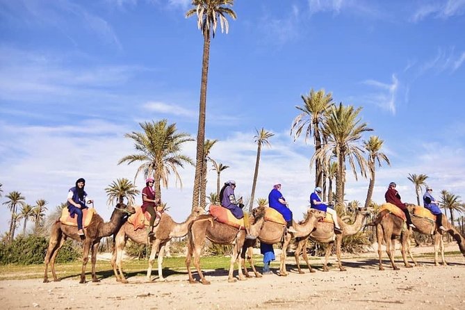 Marrakech Palmerie By Camel Ride