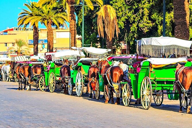 Marrakesh Sunset Guided City Tour + Caleche by Night 6pm to 9pm - Itinerary Highlights