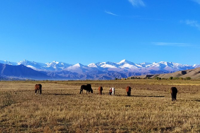 Marvellous 3 Days Around Issyk-Kul Lake