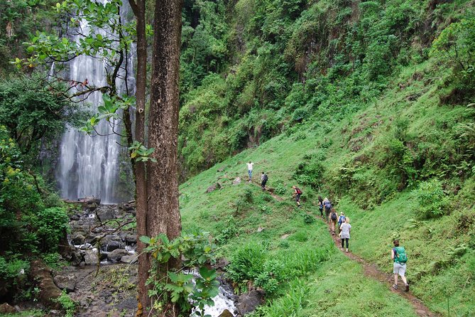 Materuni & Chemka Hotspring Day Trip