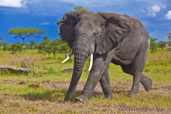 Matopos to Hwange National Park & Victoria Falls Drop Off! - Service Inclusions
