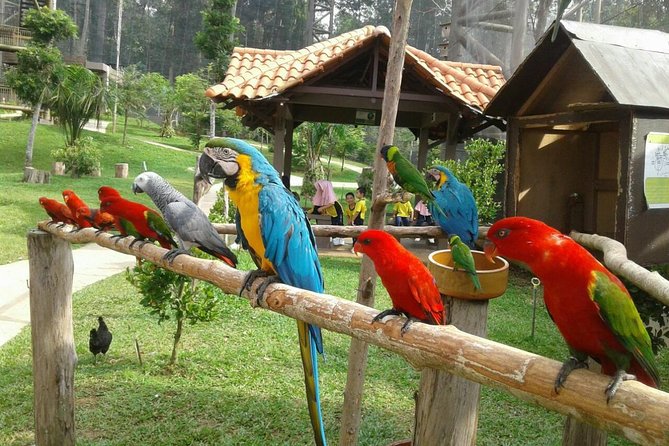 Melaka Zoo & Crocodile Park Tour From Kuala Lumpur With Lunch - Pickup Information