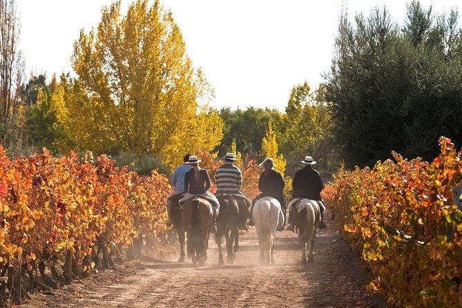 Mendoza Express 3 Days/ 2 Nights Mendoza City & Wine - Itinerary Highlights