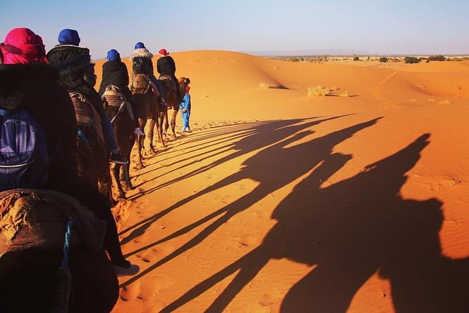 Merzouga Camel Ride and Toubkal Trek 5 Days - Tour Highlights