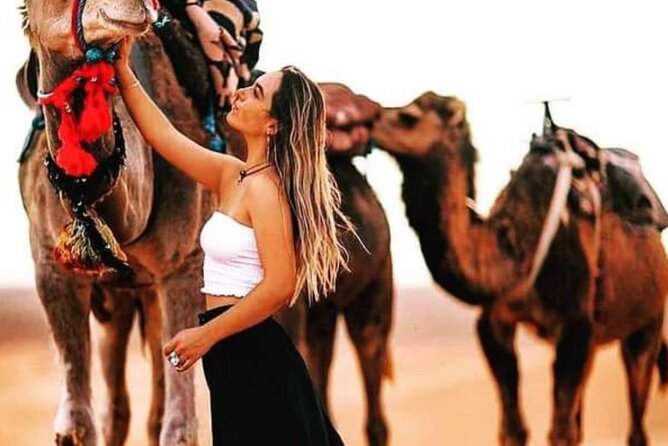Merzouga Wild Luxury Desert Cam - Location Details