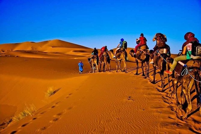 MERZOUGA & ZAGORA Small Group 4 Days Tour From Marrakech. - Accommodation Details