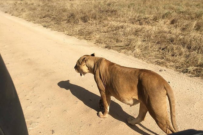 Mikumi National Park 3 Days 2 Nights - Park Highlights