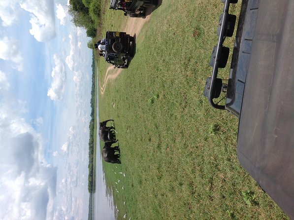 Minneriya National Park Safari Tour From Dambulla or Polonnaruwa