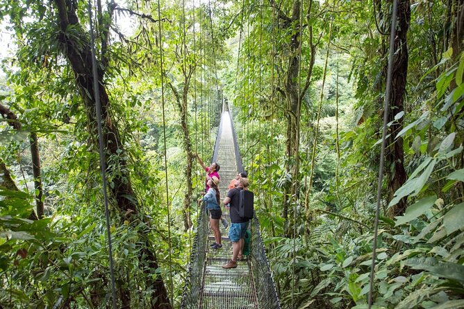 Mistico Natural History Walk(Hanging Bridges) - End Point