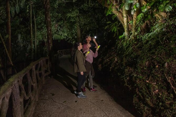 Mistico Rain Forest Night Walk Hanging Bridges - Whats Included and Additional Info