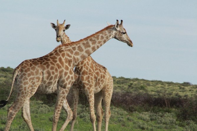 Mokoro Trail - Inclusions and Exclusions