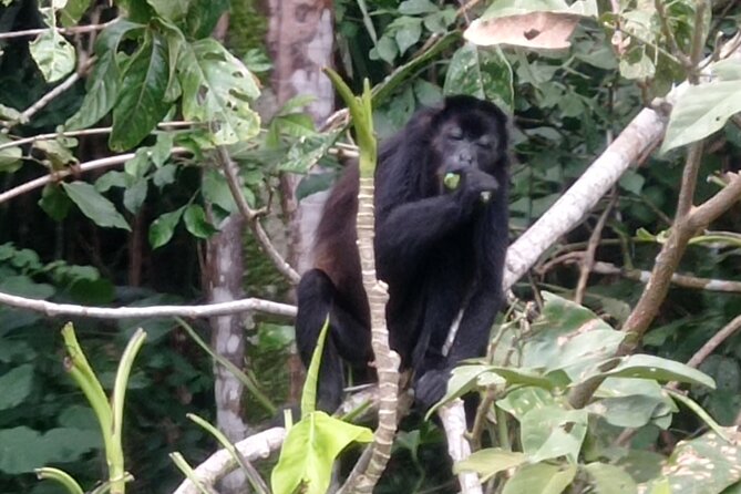 Mono Island and Panama Canal Tour - Itinerary Details