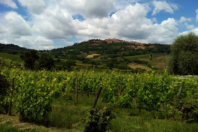 Montalcino and Pienza Tuscany Wine&Cheese Fullday From Rome - Itinerary Overview