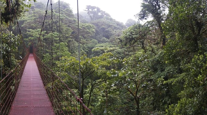 Monteverde Birdwatching Experience - Pricing and Booking Information
