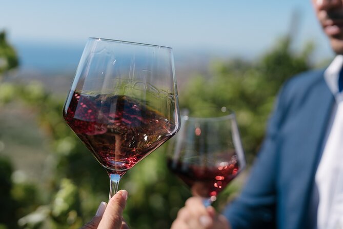 Montserrat Full Day Tour With Wine Gourmet Lunch - Lunch Experience