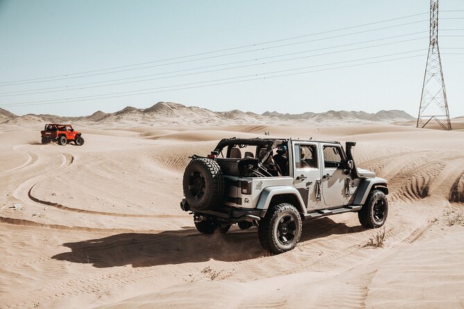 Morning Desert Safari Jeddah - Camel Farm Visit