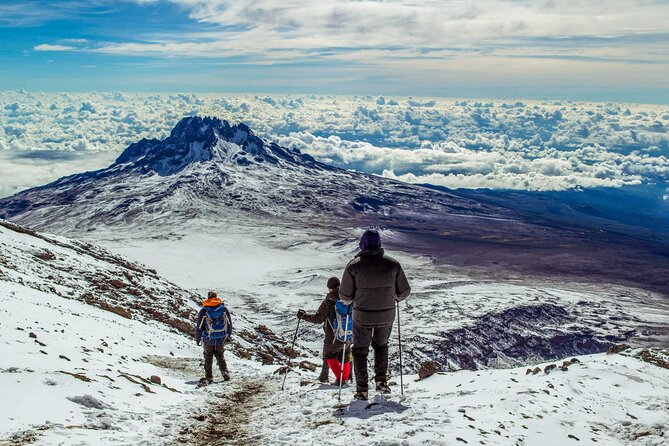 Mount Kenya National Park Full-Day Hike - Logistics
