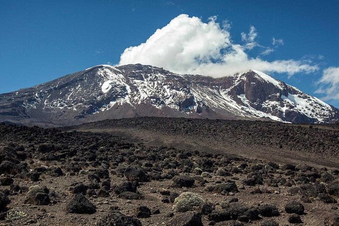 Mount Kilimanjaro, 9 Days Northern Circuit Route. - Accommodation Details